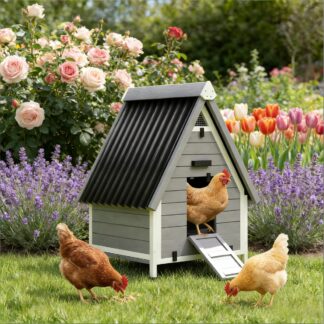 Wooden Chicken Coop - Durable & Spacious Pet House